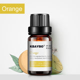 Essential Oil for Diffuser, Aromatherapy Oil Humidifier 6 Kinds Fragrance of Lavender, Tea Tree, Rosemary, Lemongrass, Orange